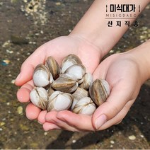 고창 동죽 조개 해감동죽 물총조개 조개탕 조개찜, 동죽 1kg