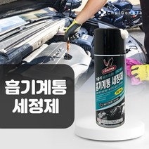 철공자닷컴 흡기계통 세척제 FC-43 스로틀바디 엔진룸 청소 가솔린 디젤 흡기 크리닝 캬브레타 카브레타 카본 청소, 분사기형 5개입 EA