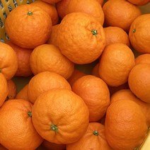 [팜니스] 제주 카라향 가정용 3kg 5kg 10kg 못난이, 카라향 상품 5kg, 1개