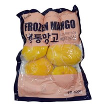 랜시 냉동망고스틴 500g2개, 500g