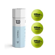 WILSON 윌슨 트리니티 올 코트 테니스 공 백퍼센트 재활용 가능 슬리브 2캔