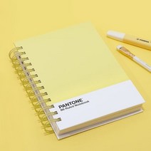 PANTONE 팬톤 B6 미니 스프링 노트, 핑크