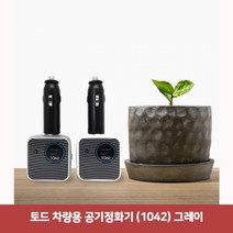 토드 차량용 공기정화기 (1042) 그레이6349자동차공기청정기 미니공기청정기 차량용충전기 차량용공기청정기 차량용방향제 차량용가습기 차량공기청청기, 본상품