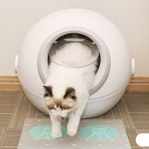 ABS 고양이 화장실 배변훈련