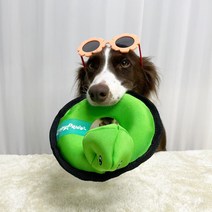 지피포우즈 ZippyPaws 튜브장난감 - 거북이 물에뜨는장난감