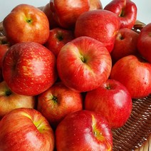 새콤달콤 빨간 햇 사과 2KG 산지직송 당일배송, 가정용 한입사과 2kg, 1개