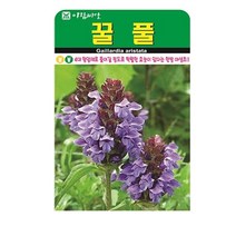 SN월드 야생화 씨앗 꽃씨앗 모음, 야생화 - 꿀풀(1000립)
