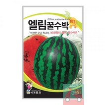 HOHO샵 07_씨앗_엘림꿀수박 3A82, 5봉[낱개수량확인]