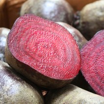 세모농 청정 제주 레드비트 햇 비트, 레드비트 10kg 특