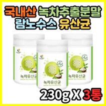 국내산 녹차 프로바이오틱 락토바실러스 플란타룸 엘지지 김치 유산균 분말 가루 30대 40대 50대 여성 여자 부모님 선물 추천 3통
