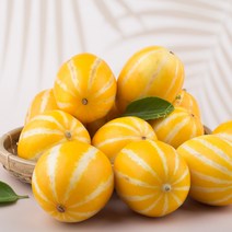 성주 산지 직송 꿀 참외 3kg 5kg 10kg 가정용 정품 직거래 박스 못난이 소과 로얄과 중과 박스포장, 3_4. 프리미엄 선물용 참외 10kg(23-35과)