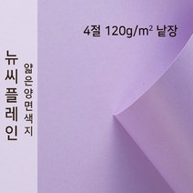 뉴씨플레인 종이문화 얇은 양면색지 120g 4절 낱장 1매 No.28 연보라색, 1장