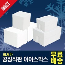 제이제이컴퍼니 스티로폼박스 낱개 다양한 사이즈, 대하-1kg, 1개