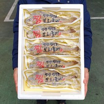 [산지직송] 영광법성포 내장제거 손질찜보리굴비 27cm 28cm 31cm내외 가정용 추석 설선물세트 간편진공포장, 5팩, 찜보리굴비31cm