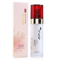 한방 산수유 고은결 진 파운데이션 spf 50+/PA, 없음, 21호