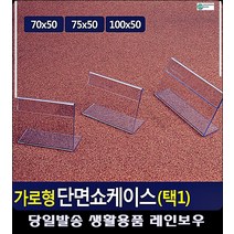 미술관 작품 제목 화가 안내 쇼케이스 프레임액자 문구류쇼핑몰 사무용품전문점 팬시, 100x50mm