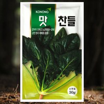 시금치씨앗 봄가을 파종용 노균병 병해강한 달콤한 맛찬들시금치 30g, 1개