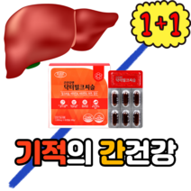 1+1 간건강 밀크씨슬 아연 엽산 120캡슐 밀크티슬 밀크시슬 밀크시스 씨슬 시슬 시쓸 밀크 밀크씨슬 카르두스마리아누스 글라브리딘 실리마린 시리마린 실리마린 키틴 실리빈
