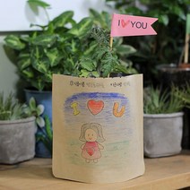 파라솔-그림봉투화분 방울토마토 _ 2023895EA, 쿠팡 본상품선택