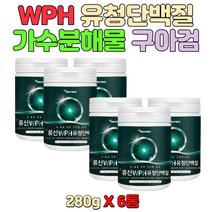 구아검 WPH 유청단백가수분해물 L로이신 유청농축단백분말 비타민미네랄믹스-SA 프리미엄단백질 필수아미노산 L-로이신함유 단백질섭취 직장인 성인 부모님추천