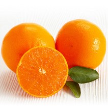 고당도 제주 천혜향 5kg 실속형 산지발송, 단품