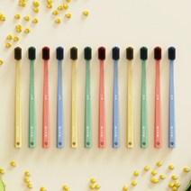 덴티넘 월간칫솔, 1세트, 12개입(컬러풀)