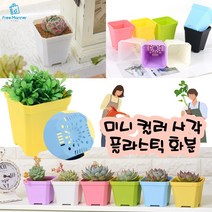 미니 사각 화분 3개 소 대 사이즈 반려식물 작은 다육이 플라스틱 화분 책상 좁은공간 베란다 어린이집 유치원 화분만들기, 퍼플 3개
