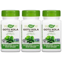 2+1 네이처스웨이 고투 콜라 허브 Gotu Kola Herb 475mg 100비건 캡슐, 단품, 단품