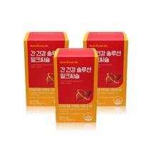 뉴트리원 간 건강 솔루션 밀크씨슬 3개월, 3박스, 700mg