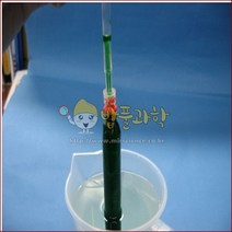 (ART)삼투압 실험키트