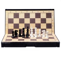 휴대용 체스판 성인 보드게임 /중형