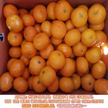 제주감귤 귤림원 초고당도 타이벡 감귤 2.5kg 4.5kg, 로얄과4.5kg(2S/S/M)