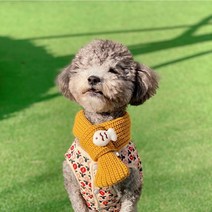 강아지 목도리 애견 겨울 머플러 손뜨개 니트 케이프 고양이 반려견 반다나 넥 워머, L, 코코아