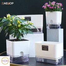 수경재배키트 가정용스마트팜 딸기수경재배 식물생장등 수경재배새싹삼 식물키우기 수경화분 새싹삼키우기, Square-S, 2 Packs