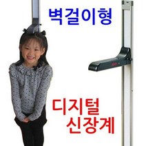 동산 제닉스 DS-H01 벽걸이형 디지털 자동신장계, M