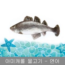 아미캐롤 캣닢 물고기장난감, 연어, 1개