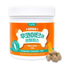 킵펫 후코이단 관절 잡스 강아지관절영양제 노령견 노견 강아지 슬개골 영양제, 1개