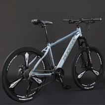 MTB 자전거 두랄루민 카본 산악자전거 입문용mtb 27.5인치 30단 하드테일 풀샥 알루미늄, 24인치, 27단, 칼날2