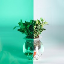 창문 소품 불투명 단방향 투시 거울 창문틀 원목 유리 시트지 유리 스티커 창문 가림막, 40x100cm, 에메랄드 그린