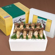 [송림山속] 강원도 자연산 송이버섯 500g특품 7~14뿌리(냉동), 단품