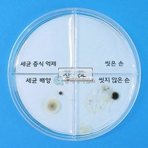 SA 세균 배양과 증식 억제 실험하기(4인 세트)