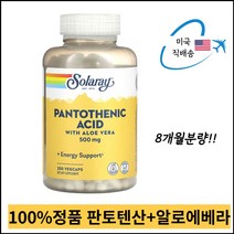 판토텐산 500mg 알로에베라 칼슘 비건 250캡슐 8개월분량, 250정, 8개