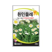 모칸도 (무배)세계 민들레 꽃씨 (흰색) 50립