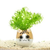 수초-고양이포트 검정말-귀여운 수족관 장식, 없음