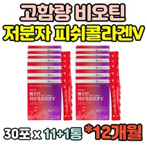 12개월분 저분자 어류 생선 피쉬 피시 석류 콜라겐 간편한 40대 50대 60대 여성 여자 스틱 가루 홈쇼핑 추천 선물 아내 와이프 펩타이드 고함량 비오틴