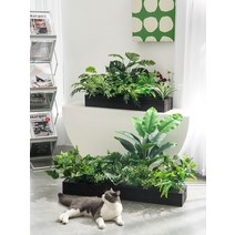 육각방부목화분 텃밭상자 녹색 식물 조경 조합 꽃 장식 야외 상자 생체 공학, [37] 120cm 트래블러 바나나 세트