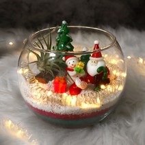 겨울 시즌 테라리움 만들기 DIY 키트 - 크리스마스의 선물 힐링식물 이오난사 푼키아나