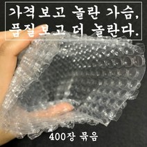 포장용 뽁뽁이 에어캡 봉투 다양한 사이즈 400장 소형 대형, 20 x 20