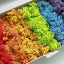 스칸디아모스 그라데이션모스 천연이끼 150g 공기정화식물 만들기 diy 재료, 스칸디아모스 150g, 무지개, 1개