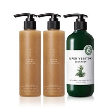 원더바스 레몬청 클렌저 200ml 2개+조성아 원더바스 클렌저 300ml 향균ver._B, 세트